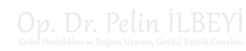 op dr pelin ilbeyi logo